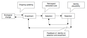 Sensemaking